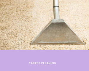Carpet Cleaning